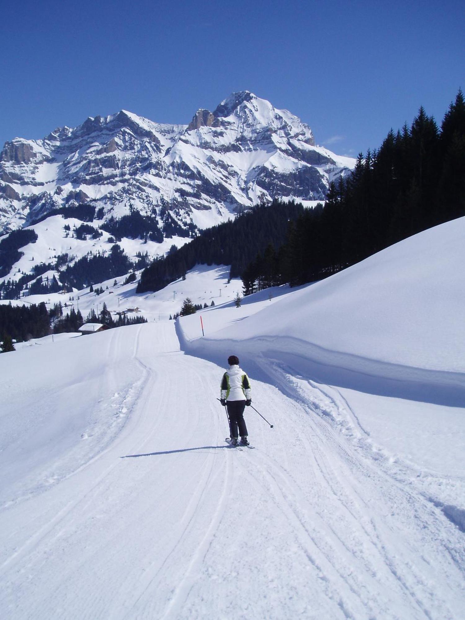 Hotel Des Alpes Аделбоден Екстериор снимка