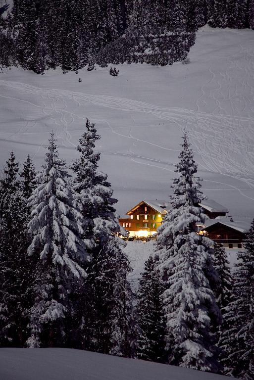 Hotel Des Alpes Аделбоден Екстериор снимка