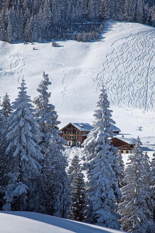 Hotel Des Alpes Аделбоден Екстериор снимка