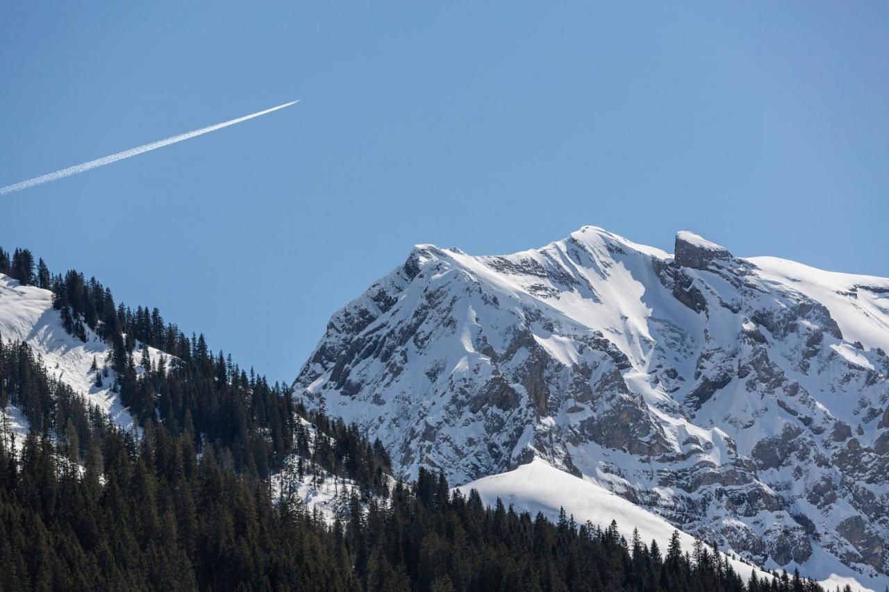 Hotel Des Alpes Аделбоден Екстериор снимка
