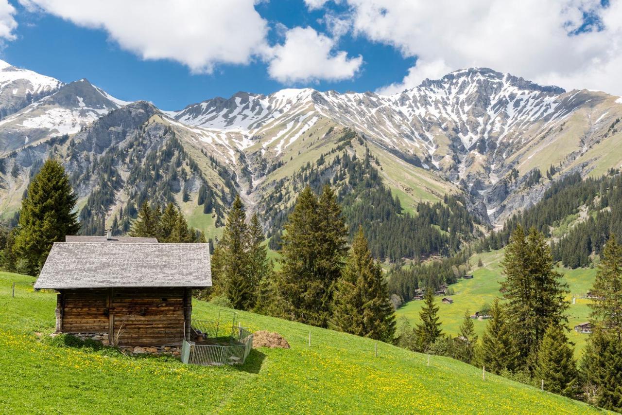 Hotel Des Alpes Аделбоден Екстериор снимка